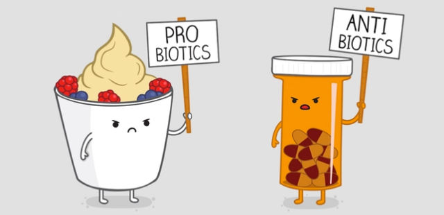probiotics