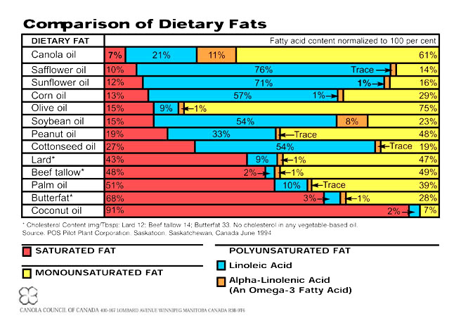 2014-01-28-leave-that-canola-oil-on-the-shelf-and-forget-about-it