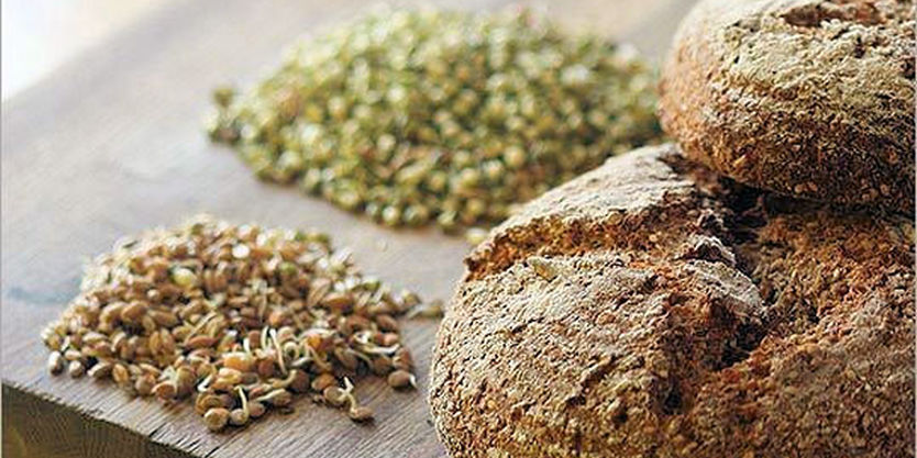 sprouted grain bread