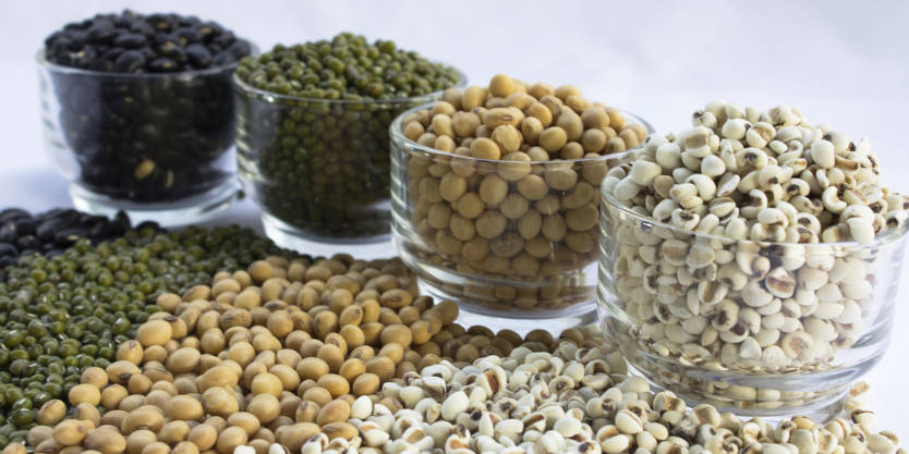 beans legumes lentils