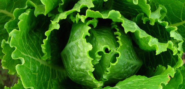 2014-05-29-5-common-foods-that-can-help-prevent-kidney-stones-6