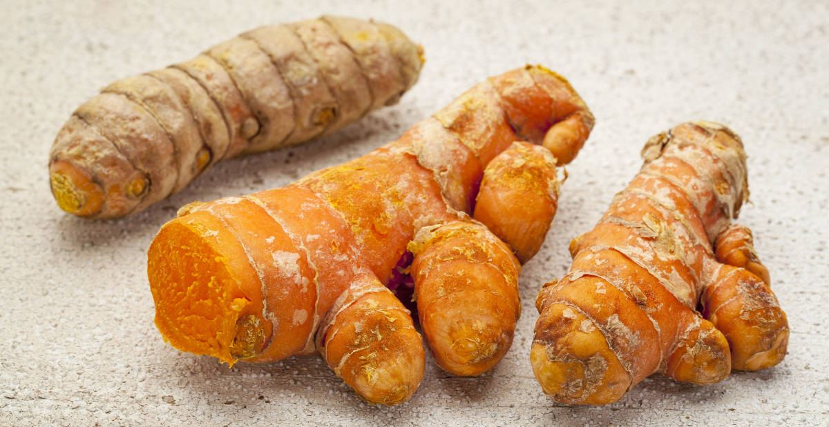 turmeric prevents memory loss
