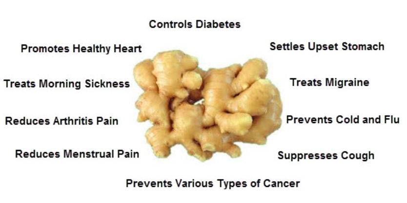 ginger benefits