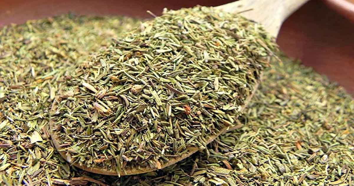 Drink Thyme Tea Every Morning To Help With Fibromyalgia, Hashimoto's