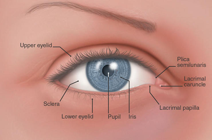 iris test