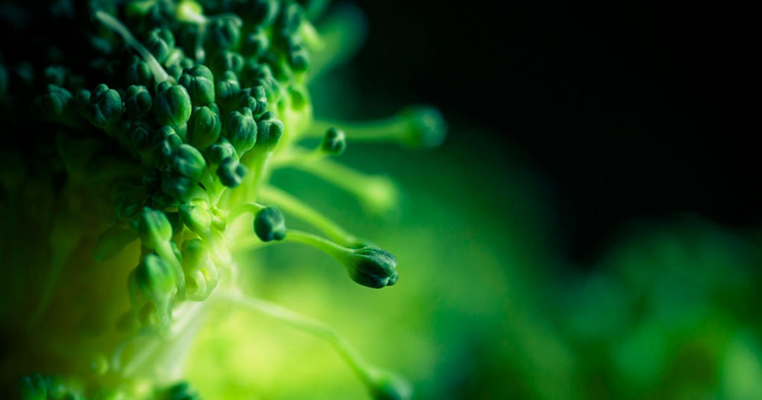 Chewing Broccoli And Watercress Unlocks Natural Compounds That Kill