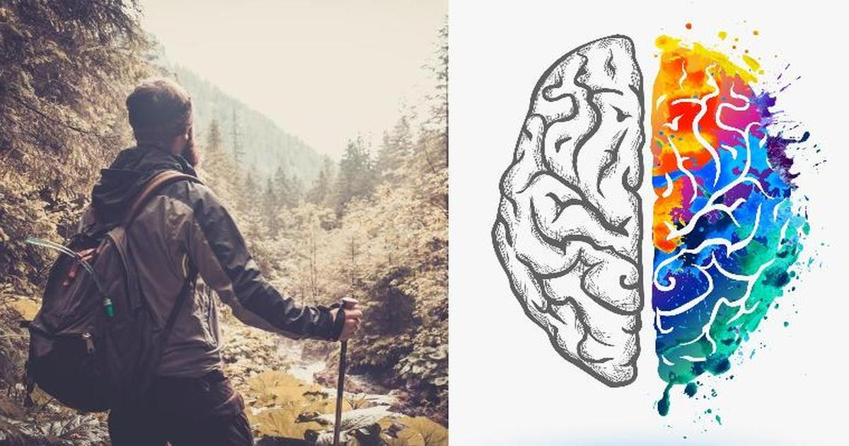 Doctors Explain How Hiking Changes Your Brain In These 3 Powerful Ways!