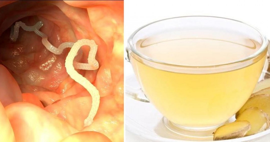 Does Green Tea Kill Parasites