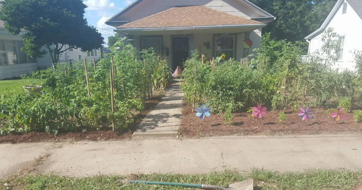 This City Is Forcing a Family To Destroy Their Vegetable Garden…On