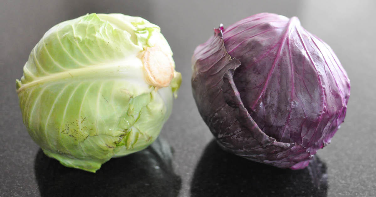 Cabbage Natural Medicine For Cancer, Diabetes And More