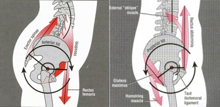 How To Correct An Anterior Pelvic Tilt With These 13 Stretches