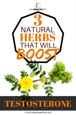 Hypothyroidism and Low Testosterone Male Hormone Imbalances That Can Damage Your Quality of Life