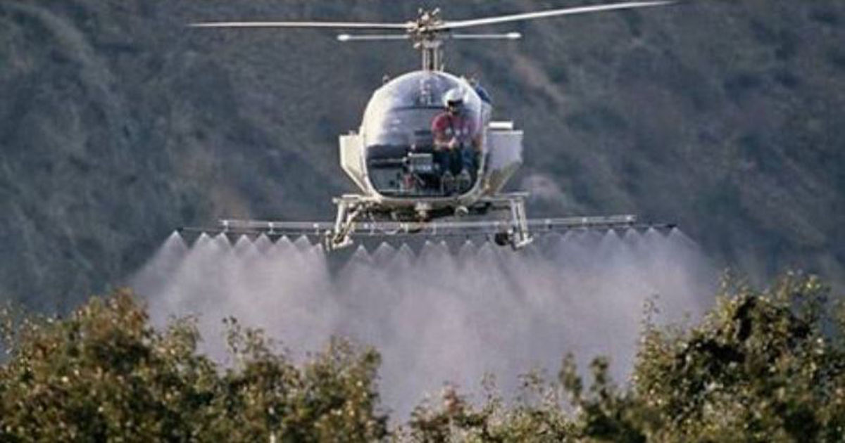 Top Five Dirty Dozen Foods To Avoid At All Costs They're Soaked in