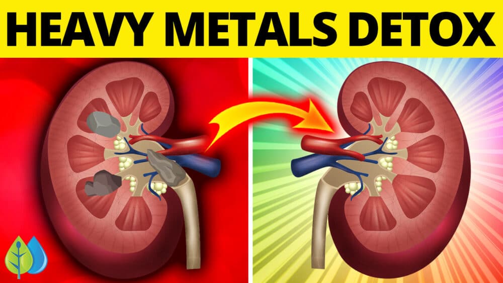 How To Make a Heavy Metal Detox Smoothie