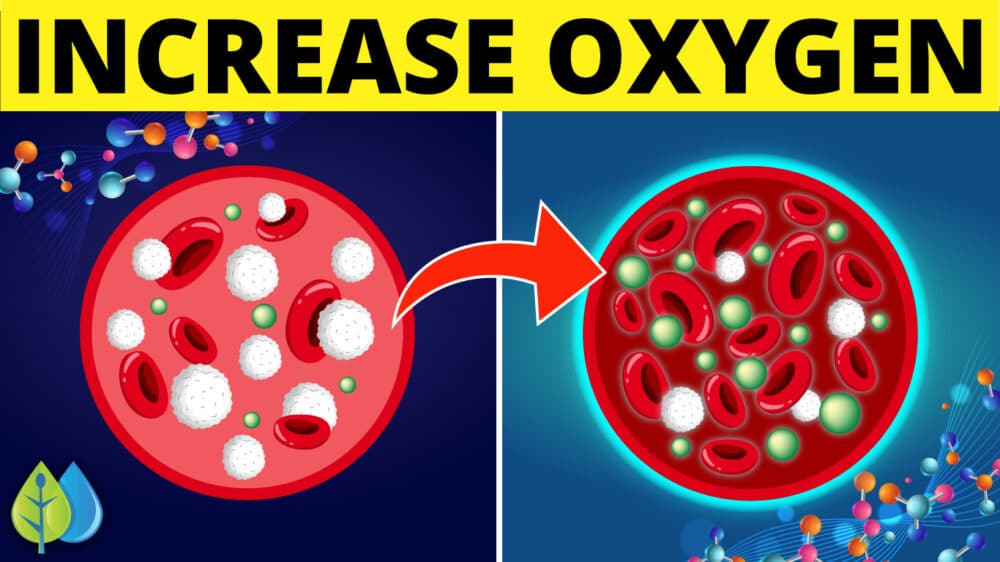 Top 9 Ways To Increase Blood Oxygen Levels Naturally