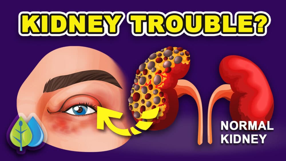 Listen To Your Body For These 10 Symptoms Of Kidney Problems