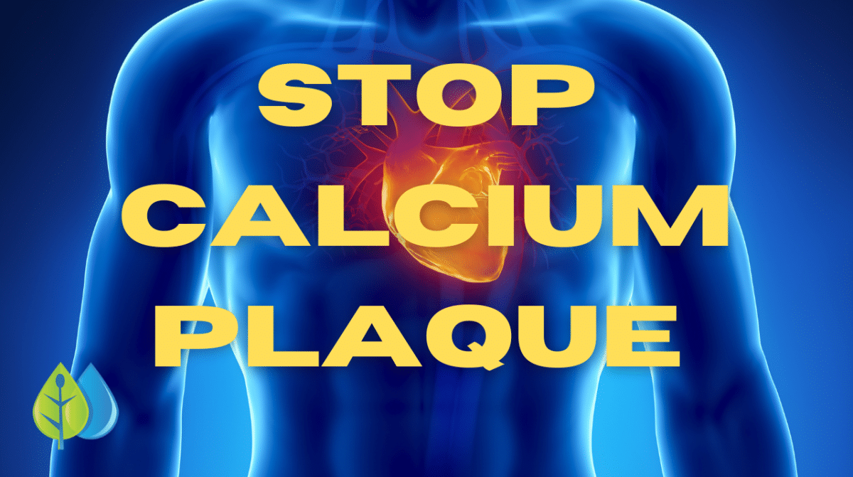 How To Cleanse Your Arteries With Only 3 Ingredients