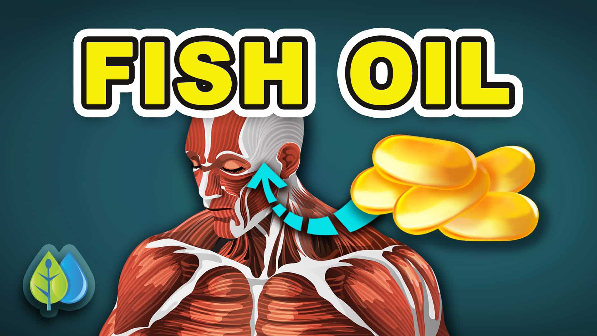 What Happens When You Take Fish Oil for 90 Days