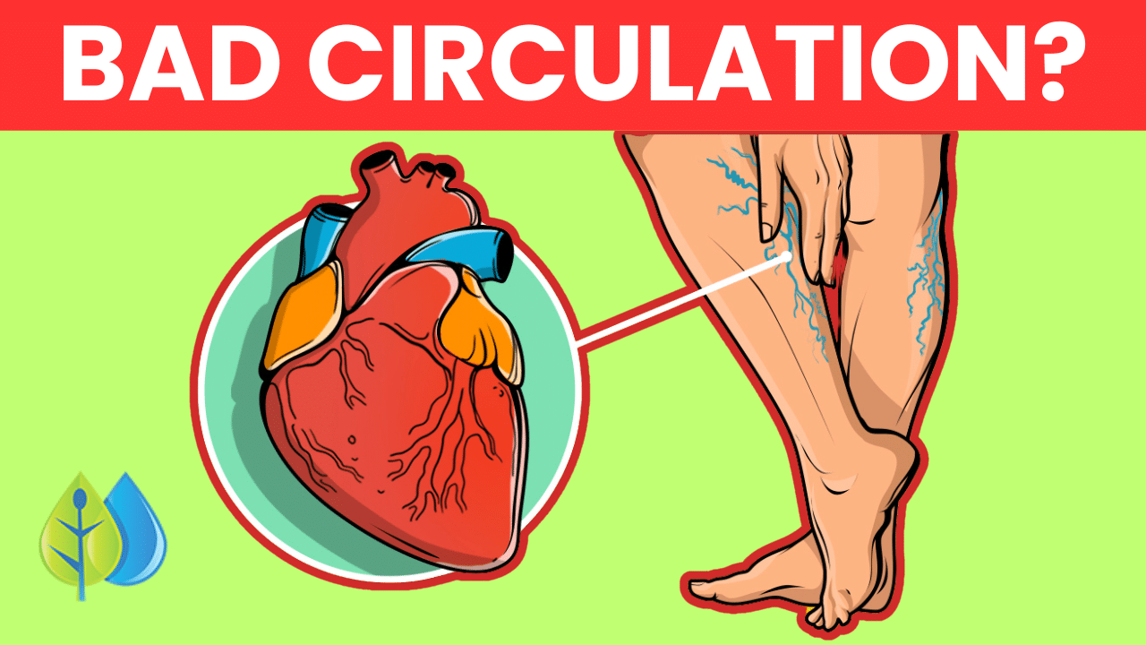 Signs Of Bad Leg Circulation at Marshall Darren blog