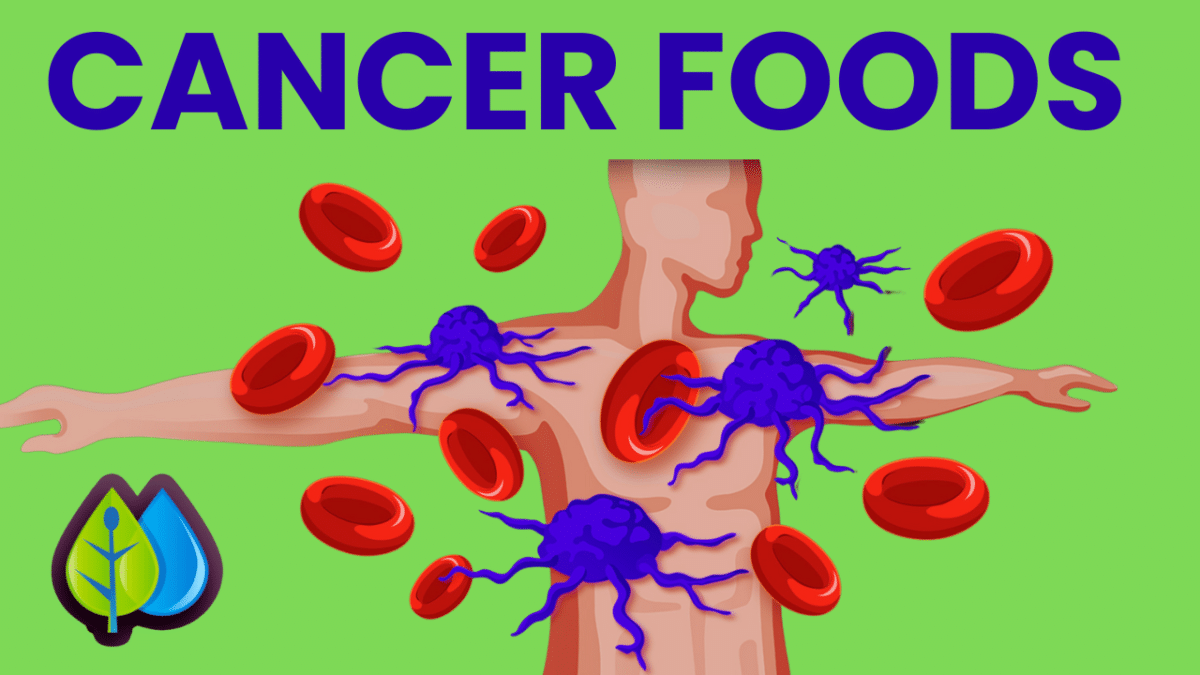 Top 14 Foods Causing Cancer