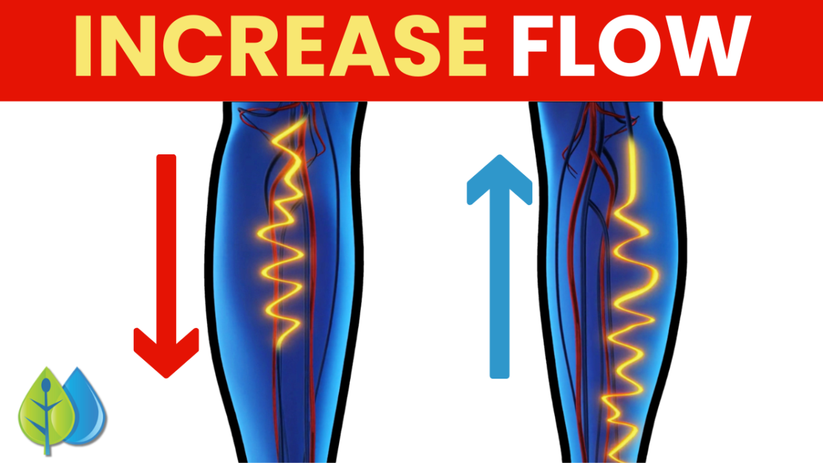 One Drink To Quickly Increase Leg Circulation