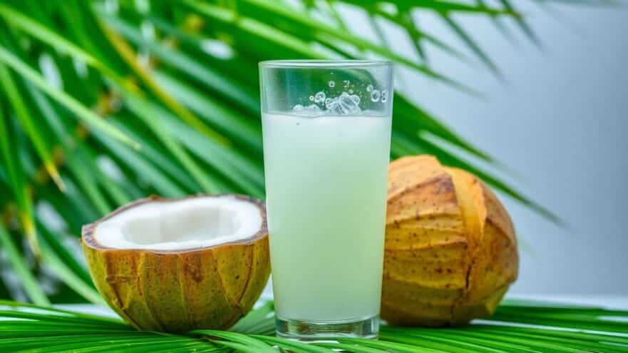 Glass of coconut water with a whole coconut and palm leaves.