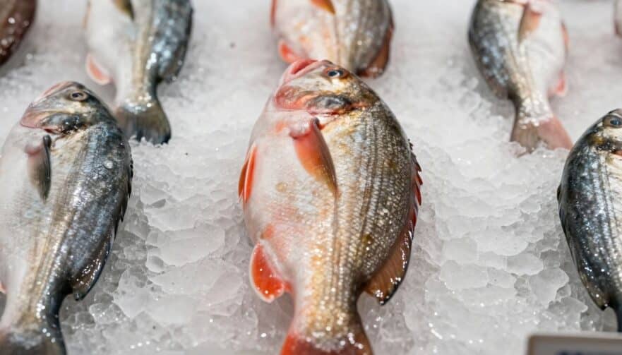 A vibrant variety of healthy fish on ice at a market, emphasizing fresh and nutritious choices